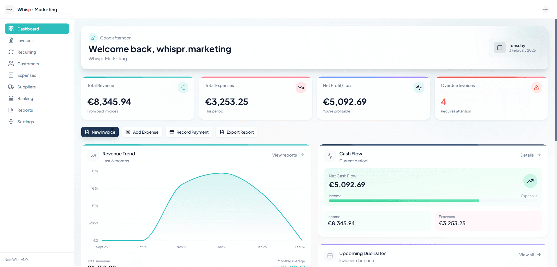 NumWise dashboard with cash flow and expenses